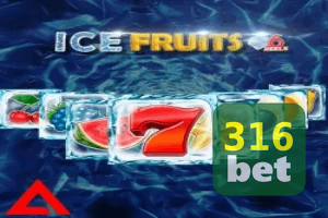 316 BET ajuda online — chat de suporte no aplicativo oficial